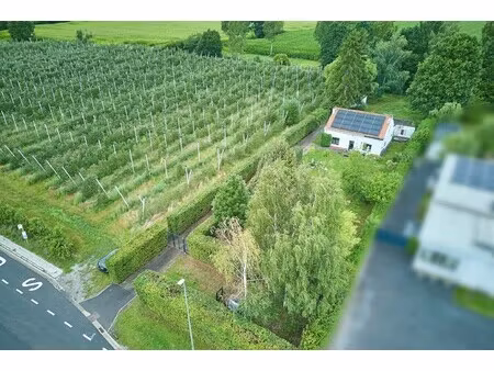 grond te koop in hasselt