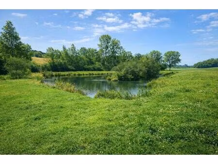 achat terrain 8 080m² muret et crouttes 02210