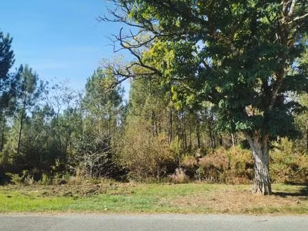 terrain à bâtir à le barp (33114)