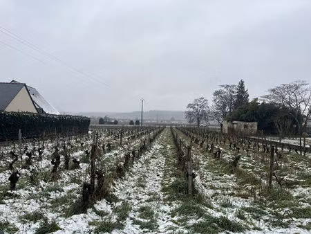 achat terrain 2 282m²