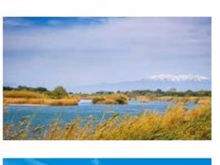 achat : appartement (66420)