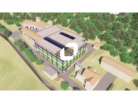 location local d'activités froges 38190