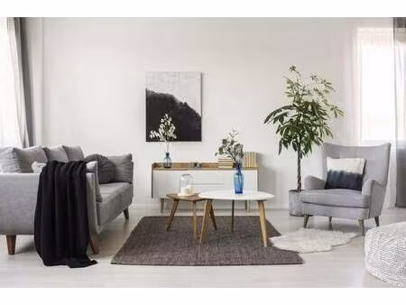 noveo immo strasbourg