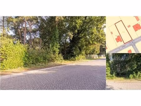 terrain à vendre à visbeekbaan 35 wechelderzande (rbu99736)