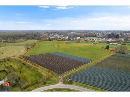 terrain agricole à vendre à biezenstraat 10l beerzel (rbu99927)