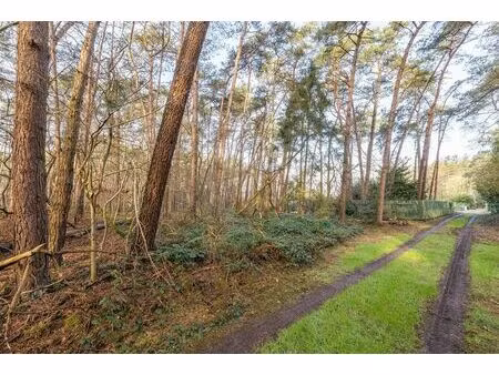 terrain agricole à vendre à huls 67 vorselaar (rbu99746)