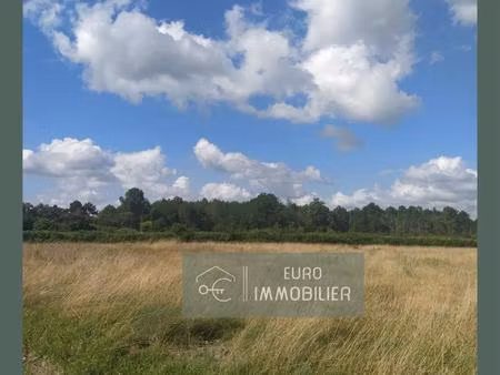 lots de terrains viabilises 10 mn de bazas - gironde (33) - nouv