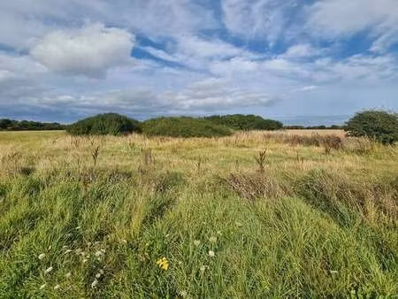 vente terrain à crozon (29160) : à vendre / 1807m² crozon