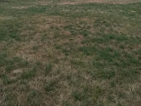 vente terrain 1500 m² à montilly-sur-noireau (61100)  30 250 €