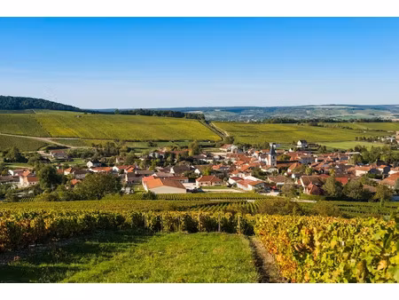 vente terrain 747 m² à crezancy (02650)  39 000 €