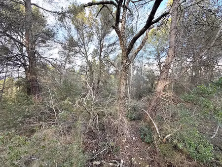 vente terrain 7448 m² à barjols (83670)  9 950 €