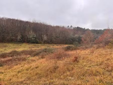 vente terrain 1400 m² à trélissac (24750)  65 000 €