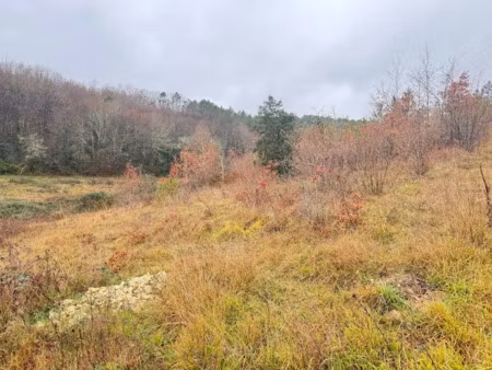 vente terrain 1600 m² à trélissac (24750)  65 000 €