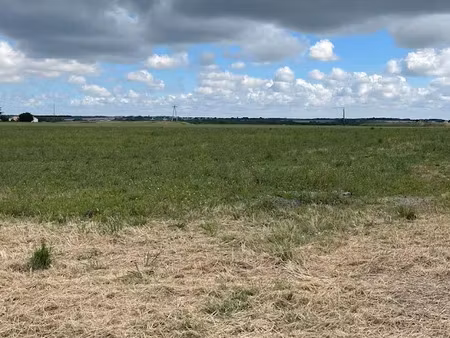 vente terrain 366 m² à saint-georges-de-didonne (17110)  105 700 €