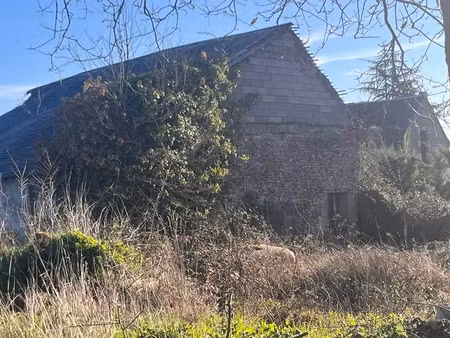 vente terrain 7421 m² à rouziers-de-touraine (37360)  77 420 €