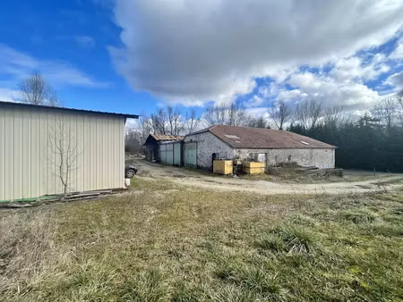 vente locaux professionnels 521 m² à agen (47000)  120 000 €