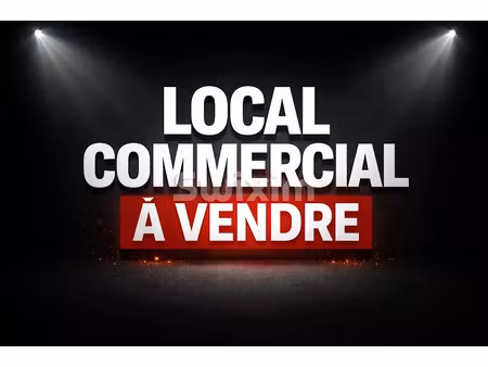 vente locaux professionnels 68 m² à annecy (74000)  159 000 €