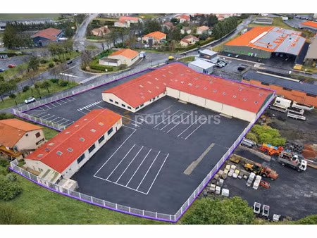 vente locaux professionnels 2800 m² à le puy-en-velay (43000)  892 000 €