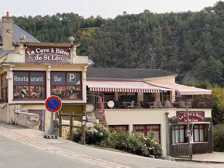 vente locaux professionnels 146 m² à saint-léonard-des-bois (72130)  349 000 €