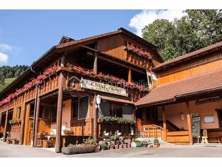 vente immeuble 23 pièces 491 m² à sainte-marie-aux-mines (68160)  650 000 €