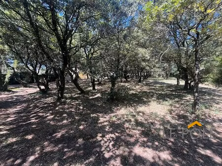 terrain constructible donzère 1248 m2