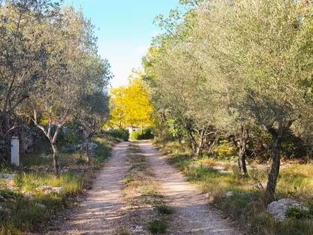 maison de 6 pièces de luxe en vente à viols-le-fort  france