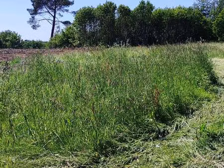 vente terrain à guidel (56520) : à vendre / guidel