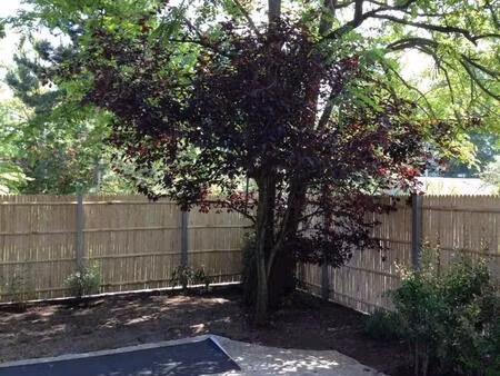 appartement en location - le plessis-trévise (94420)