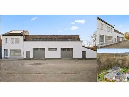 immeuble mixte à vendre à bordeleenstraat 4 denderleeuw (rwc41533)