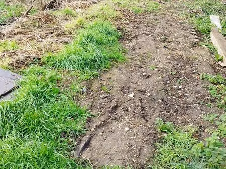 terrain constructible 1156 m²