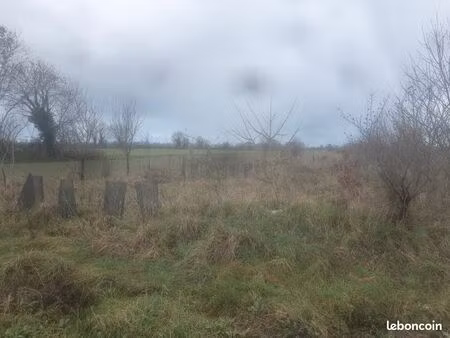 terrain agricole non clôt
