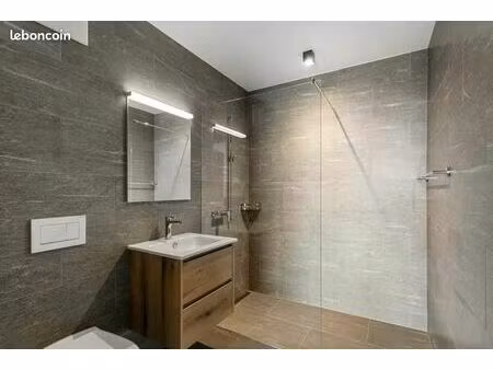 2pièces rénové et meublé avec goût