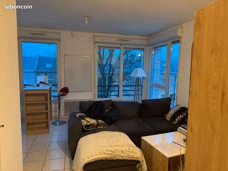 grand studio 34 m2 allee des nympheas