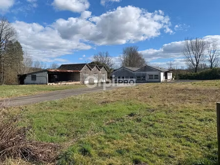 vente local industriel 600 m² allassac (19240)