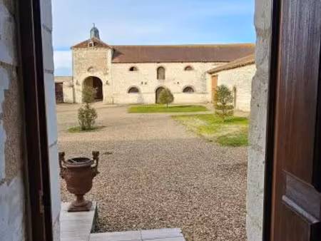 vente maison 13 pièces 495 m² faye-la-vineuse (37120)