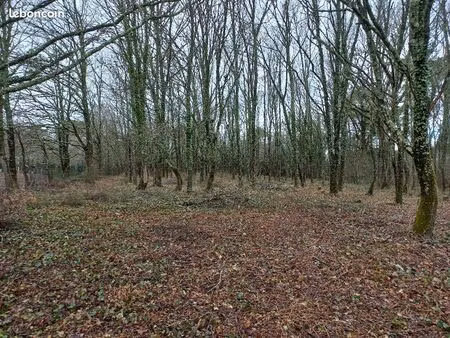 terrain 2 000 m² saint medard de mussidan