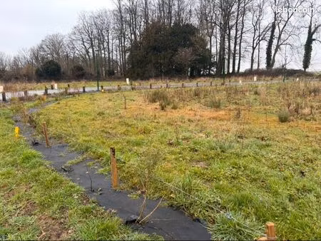 terrain 805 m² autretot