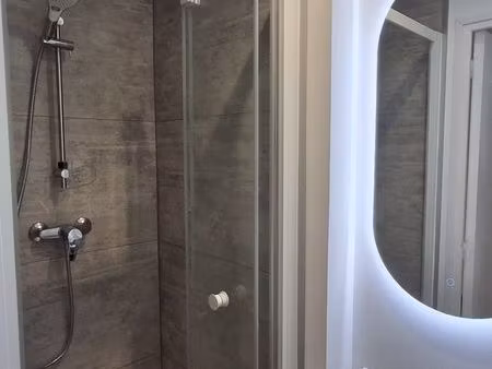 t1bis refait à neuf - centre ville - sans frais d'agence