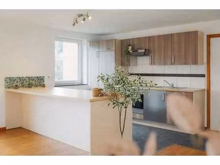 appartement spacieux et confortable à 2 pas de la meuse