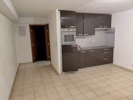 appart 1 chbre proche centre - terrasse/jardinet + parking