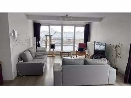 spacieux appartement 3 chambres - quartier des bruyères