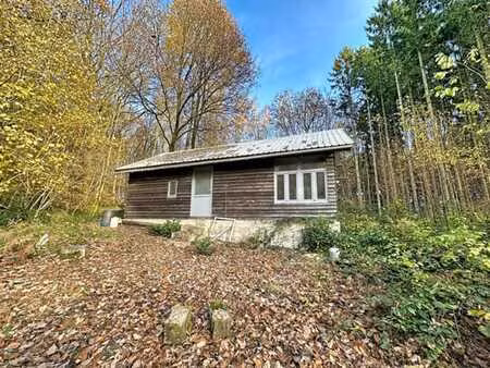 chalet en pleine forêt
