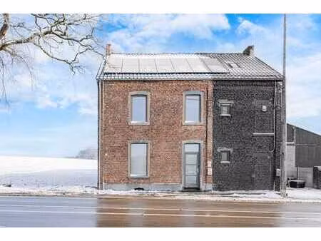 maison entierement renovee en 2020 avec grenier et jardin