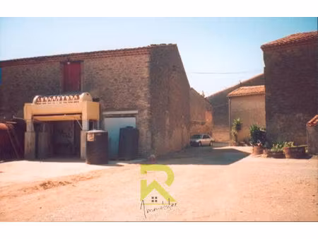 vente maison 2 pièces 228 m² badens (11800)