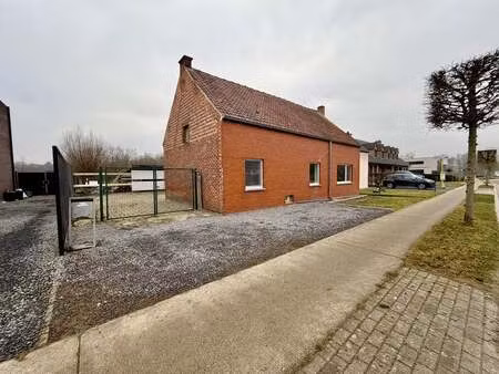 maison à louer à diepenbeek € 900 (ljgo8) - dewaele - hasselt verhuur | zimmo