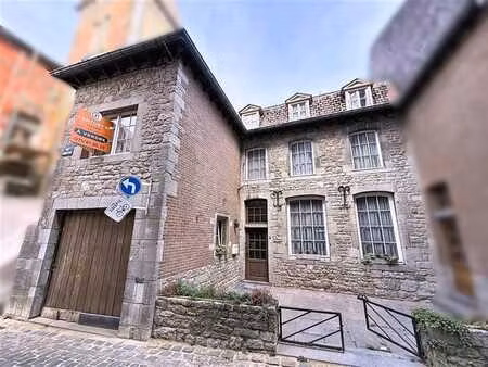 charmante maison de maître - 4 chambres - jardin