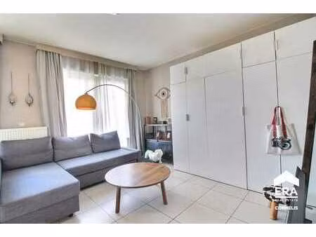 studio - terrasse - elec. conforme