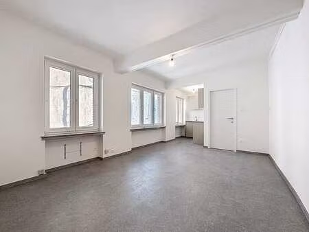 magnifique appartement 1 chambre entièrement rénové.