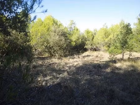 vente terrain 23880 m² esparron-de-verdon (04800)