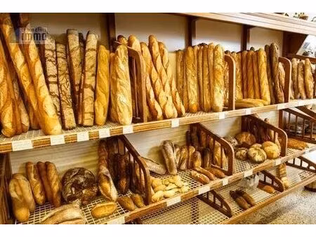 vente local industriel 3 pièces 120 m² saintes (17100)